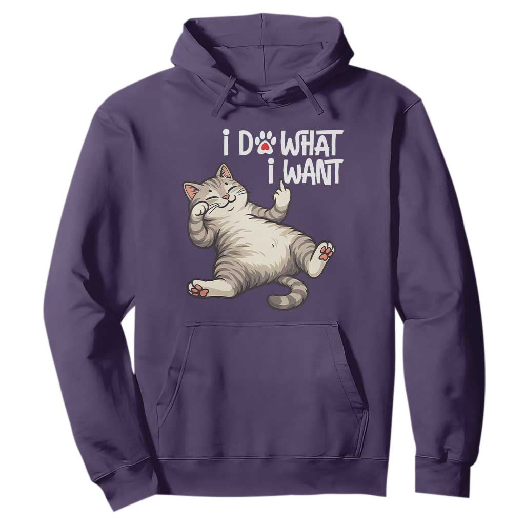 Funny Cat Hoodie I Do What I Want TS12 Purple Print Your Wear