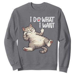 Funny Cat Sweatshirt I Do What I Want TS12 Charcoal Print Your Wear