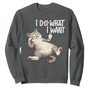 Funny Cat Sweatshirt I Do What I Want TS12 Dark Heather Print Your Wear