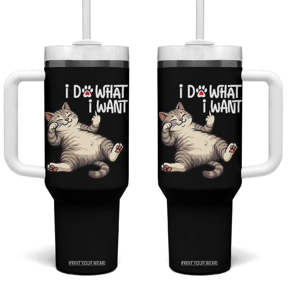 Funny Cat Tumbler With Handle I Do What I Want TS12 One Size: 40 oz Black Print Your Wear
