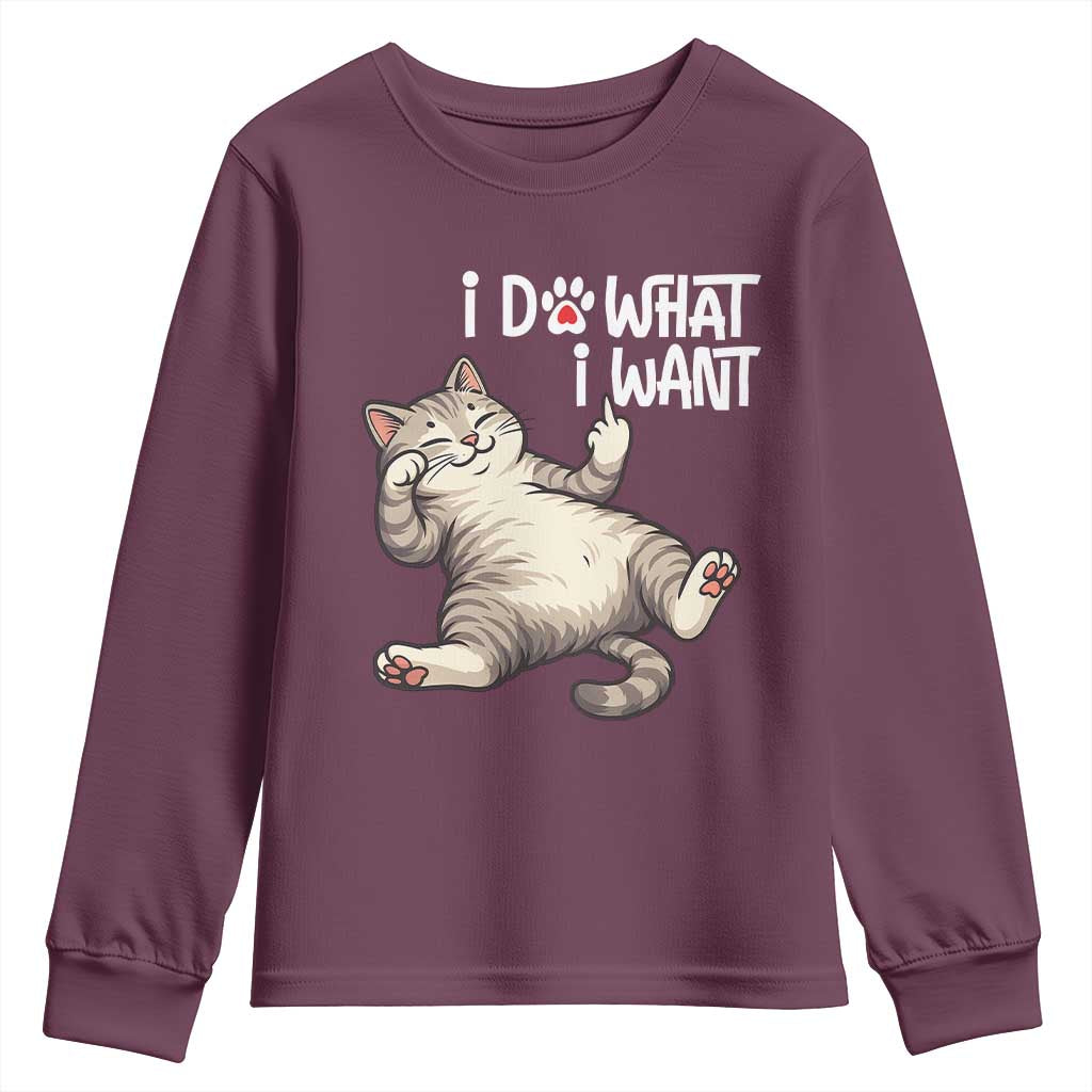 Funny Cat Youth Sweatshirt I Do What I Want TS12 Maroon Print Your Wear
