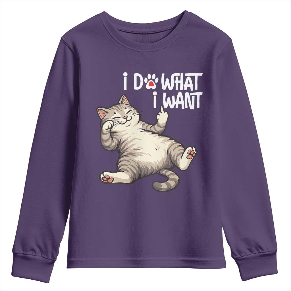 Funny Cat Youth Sweatshirt I Do What I Want TS12 Purple Print Your Wear