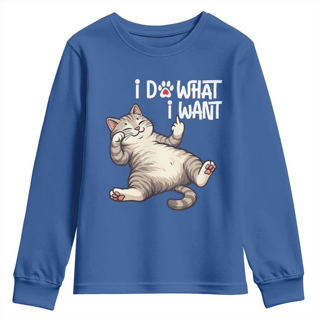 Funny Cat Youth Sweatshirt I Do What I Want TS12 Royal Blue Print Your Wear