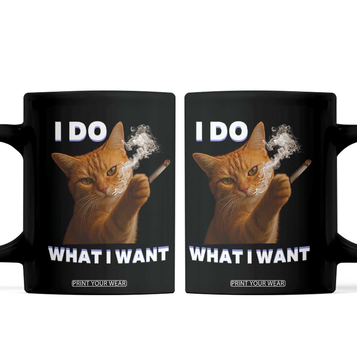 Funny Smoking Cat Coffee Mug I Do What I Want Sarcastic Cats Meme TS12 Black Print Your Wear