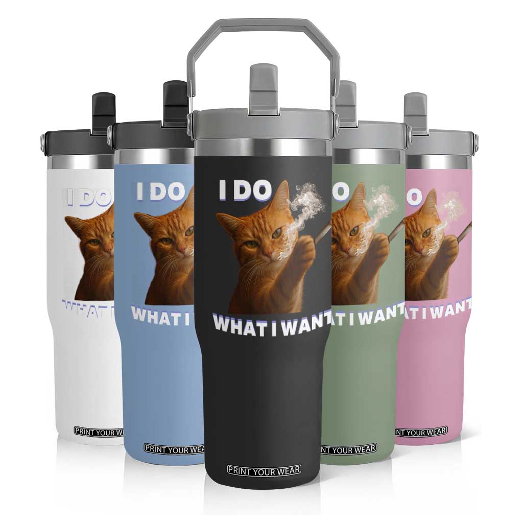 Funny Smoking Cat Flip Straw Tumbler I Do What I Want Sarcastic Cats Meme TS12 Print Your Wear