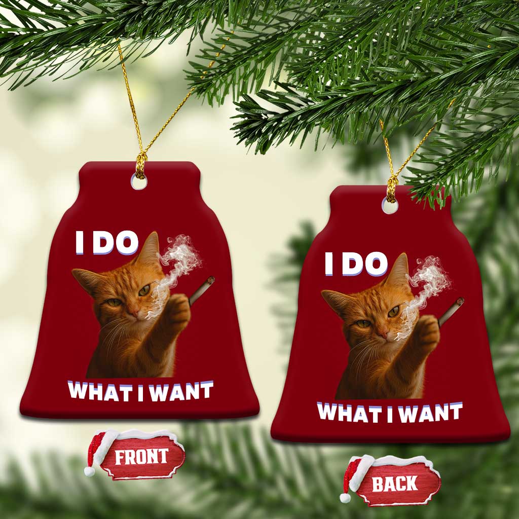 Funny Smoking Cat Ceramic Ornament I Do What I Want Sarcastic Cats Meme TS12 Print Your Wear