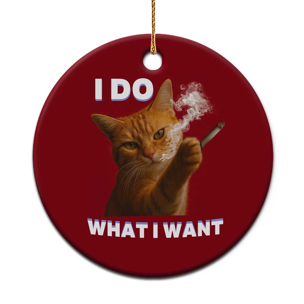 Funny Smoking Cat Ceramic Ornament I Do What I Want Sarcastic Cats Meme TS12 1pc Red Print Your Wear