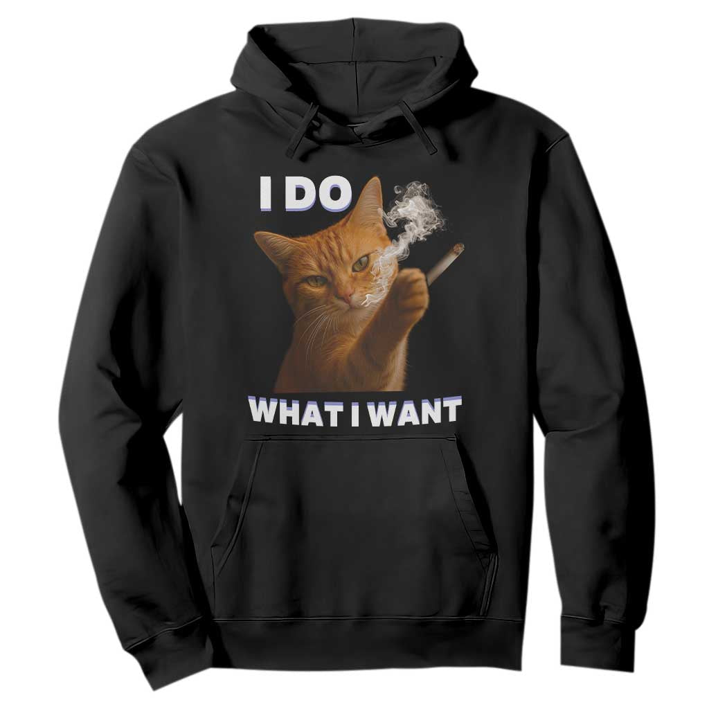 Funny Smoking Cat Hoodie I Do What I Want Sarcastic Cats Meme TS12 Black Print Your Wear