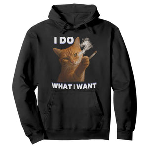 Funny Smoking Cat Hoodie I Do What I Want Sarcastic Cats Meme TS12 Black Print Your Wear