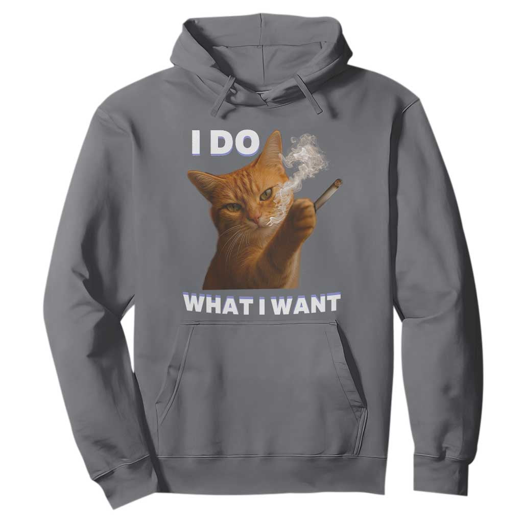 Funny Smoking Cat Hoodie I Do What I Want Sarcastic Cats Meme TS12 Charcoal Print Your Wear
