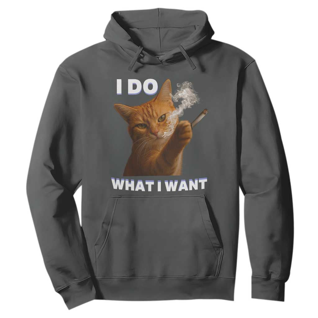 Funny Smoking Cat Hoodie I Do What I Want Sarcastic Cats Meme TS12 Dark Heather Print Your Wear