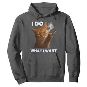 Funny Smoking Cat Hoodie I Do What I Want Sarcastic Cats Meme TS12 Dark Heather Print Your Wear