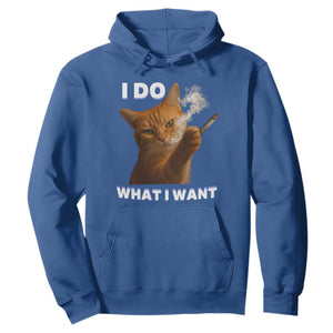 Funny Smoking Cat Hoodie I Do What I Want Sarcastic Cats Meme TS12 Royal Blue Print Your Wear