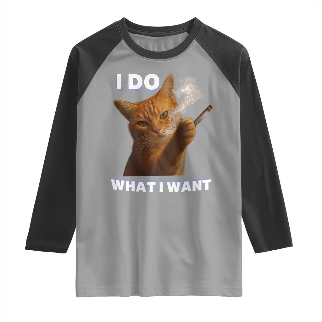 Funny Smoking Cat Raglan Shirt I Do What I Want Sarcastic Cats Meme TS12 Sport Gray Black Print Your Wear