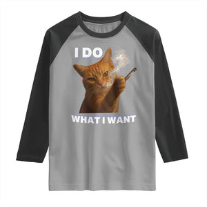 Funny Smoking Cat Raglan Shirt I Do What I Want Sarcastic Cats Meme TS12 Sport Gray Black Print Your Wear