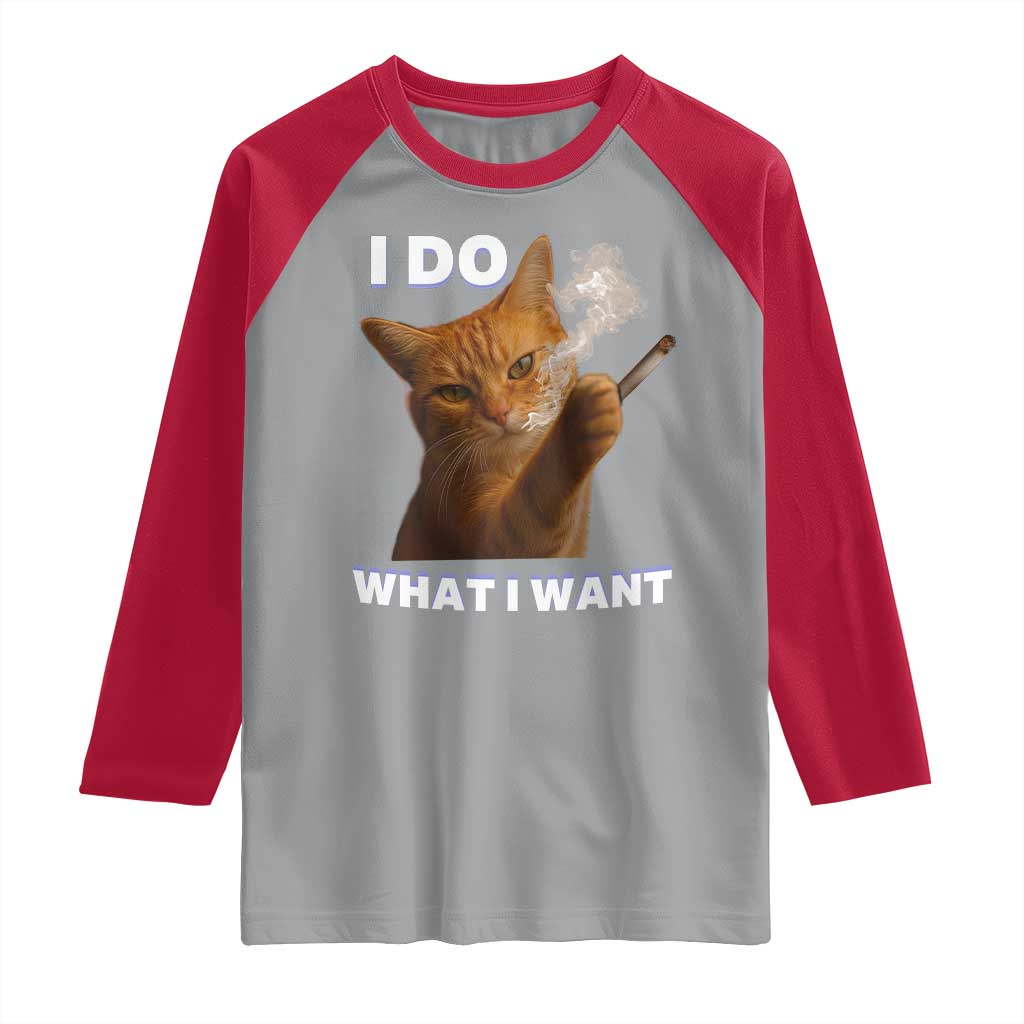 Funny Smoking Cat Raglan Shirt I Do What I Want Sarcastic Cats Meme TS12 Sport Gray Red Print Your Wear