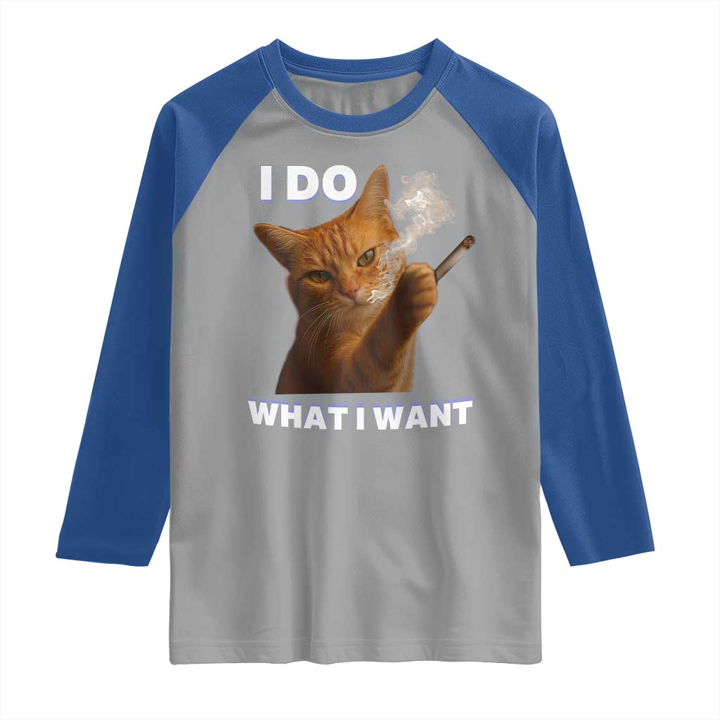 Funny Smoking Cat Raglan Shirt I Do What I Want Sarcastic Cats Meme TS12 Sport Gray Royal Print Your Wear