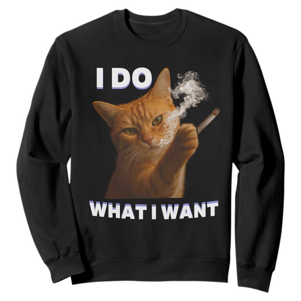 Funny Smoking Cat Sweatshirt I Do What I Want Sarcastic Cats Meme TS12 Black Print Your Wear