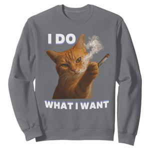 Funny Smoking Cat Sweatshirt I Do What I Want Sarcastic Cats Meme TS12 Charcoal Print Your Wear