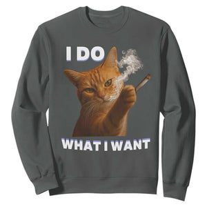 Funny Smoking Cat Sweatshirt I Do What I Want Sarcastic Cats Meme TS12 Dark Heather Print Your Wear