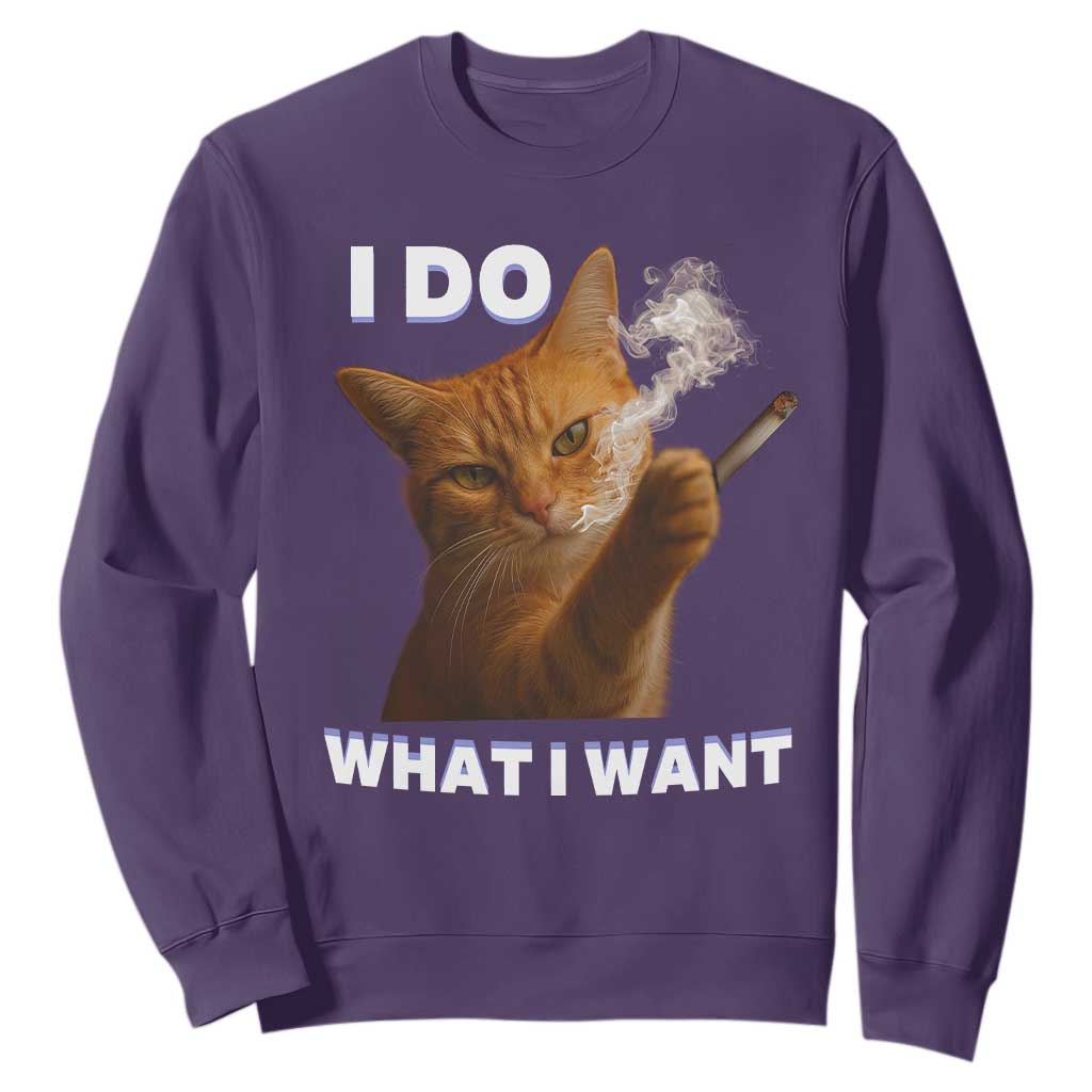 Funny Smoking Cat Sweatshirt I Do What I Want Sarcastic Cats Meme TS12 Purple Print Your Wear