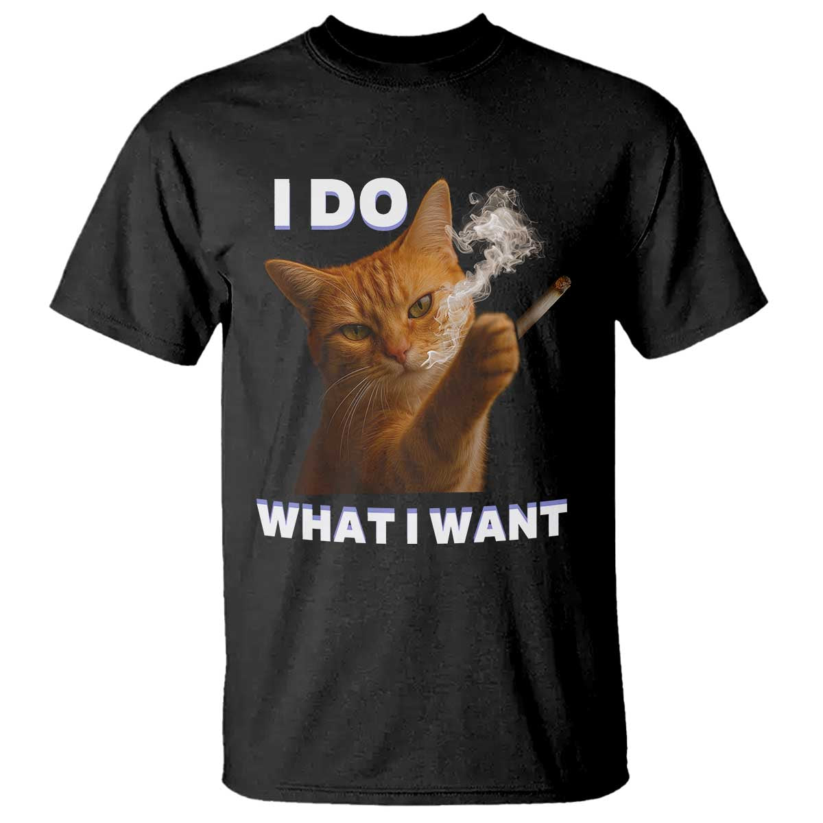 Funny Smoking Cat T Shirt I Do What I Want Sarcastic Cats Meme TS12 Black Print Your Wear