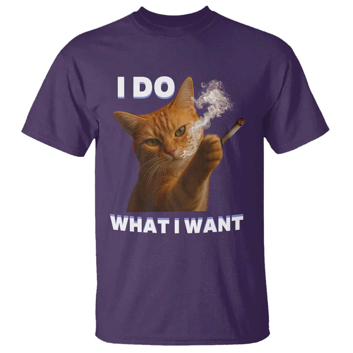 Funny Smoking Cat T Shirt I Do What I Want Sarcastic Cats Meme TS12 Purple Print Your Wear