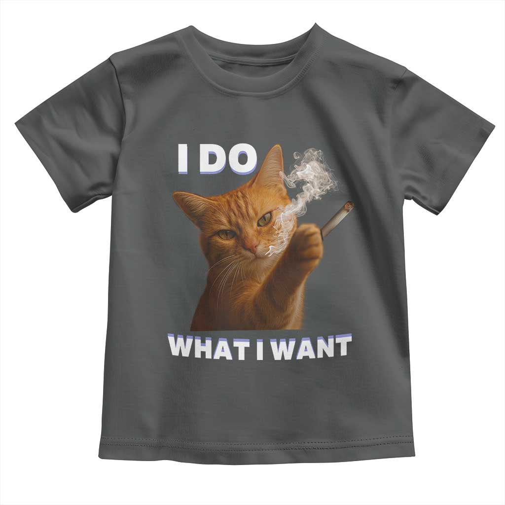 Funny Smoking Cat Toddler T Shirt I Do What I Want Sarcastic Cats Meme TS12 Dark Heather Print Your Wear