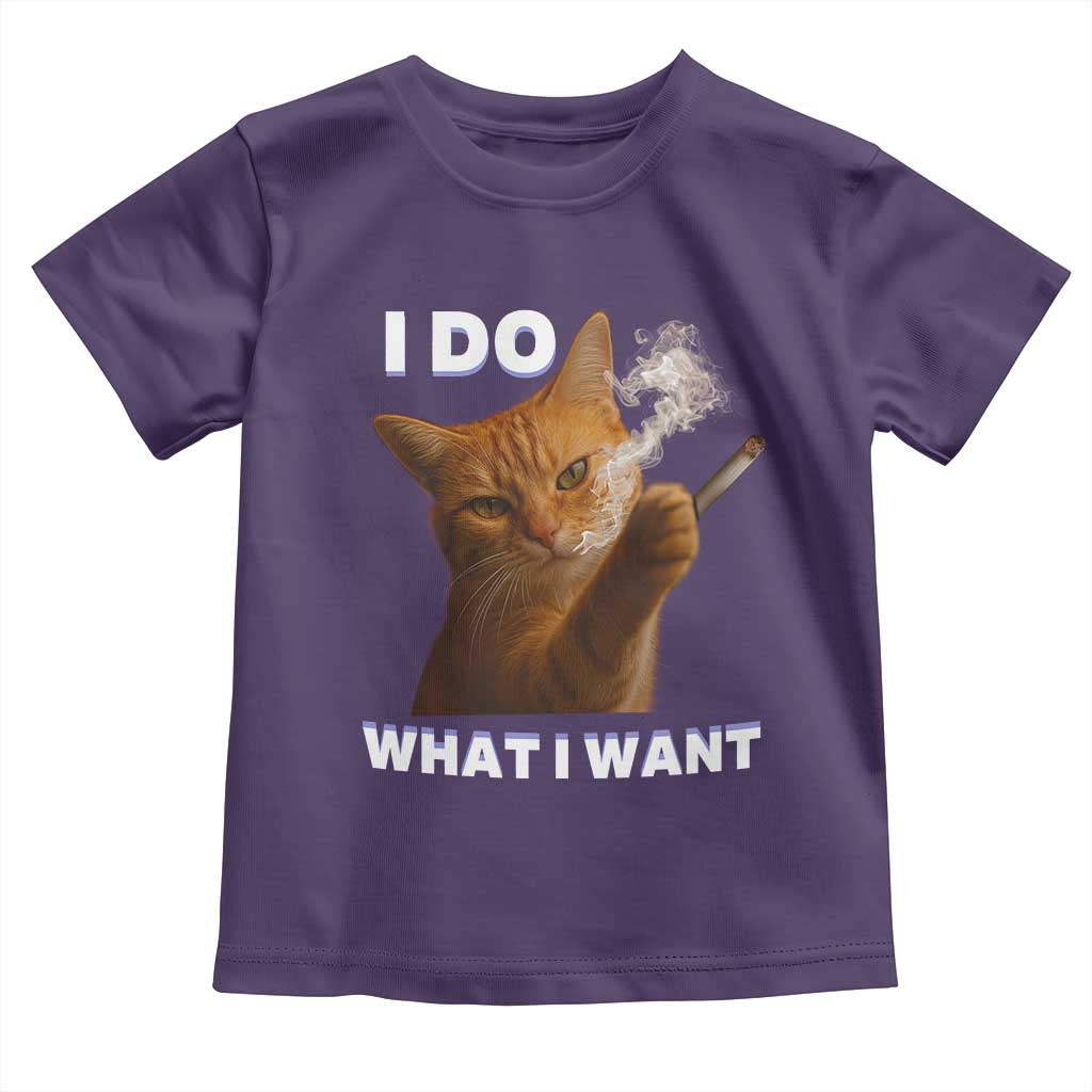 Funny Smoking Cat Toddler T Shirt I Do What I Want Sarcastic Cats Meme TS12 Purple Print Your Wear