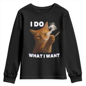 Funny Smoking Cat Youth Sweatshirt I Do What I Want Sarcastic Cats Meme TS12 Black Print Your Wear