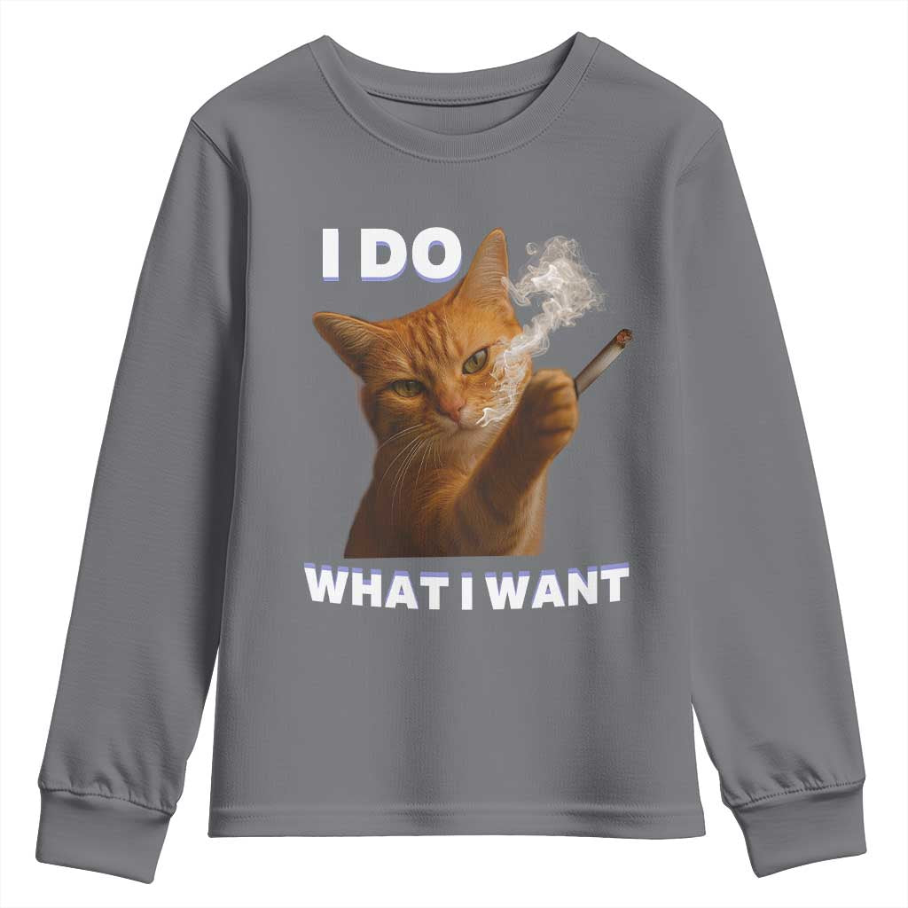 Funny Smoking Cat Youth Sweatshirt I Do What I Want Sarcastic Cats Meme TS12 Charcoal Print Your Wear