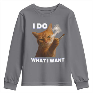 Funny Smoking Cat Youth Sweatshirt I Do What I Want Sarcastic Cats Meme TS12 Charcoal Print Your Wear