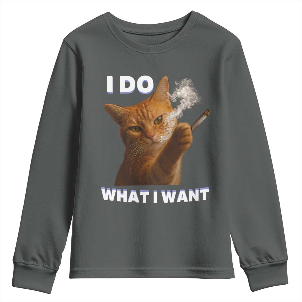 Funny Smoking Cat Youth Sweatshirt I Do What I Want Sarcastic Cats Meme TS12 Dark Heather Print Your Wear