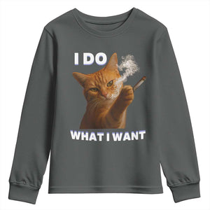 Funny Smoking Cat Youth Sweatshirt I Do What I Want Sarcastic Cats Meme TS12 Dark Heather Print Your Wear