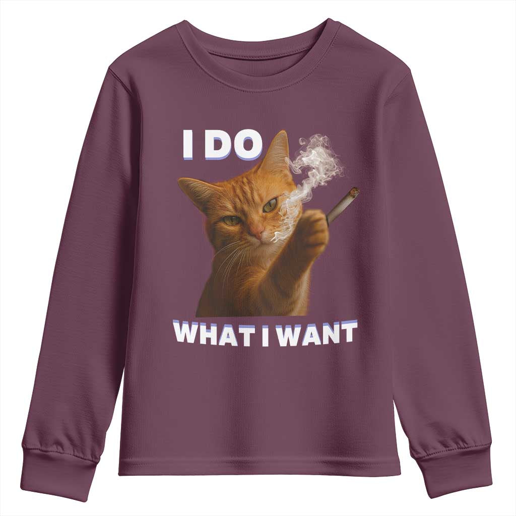 Funny Smoking Cat Youth Sweatshirt I Do What I Want Sarcastic Cats Meme TS12 Maroon Print Your Wear