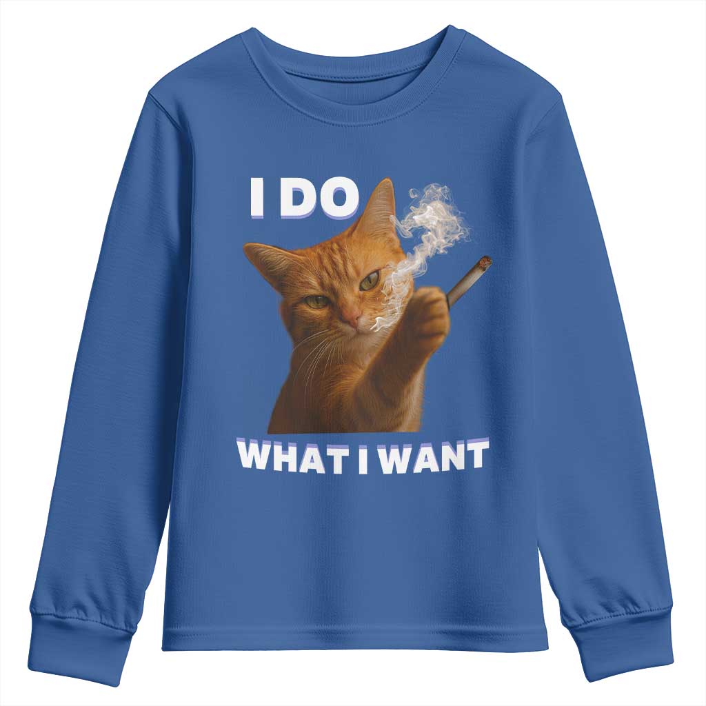 Funny Smoking Cat Youth Sweatshirt I Do What I Want Sarcastic Cats Meme TS12 Royal Blue Print Your Wear