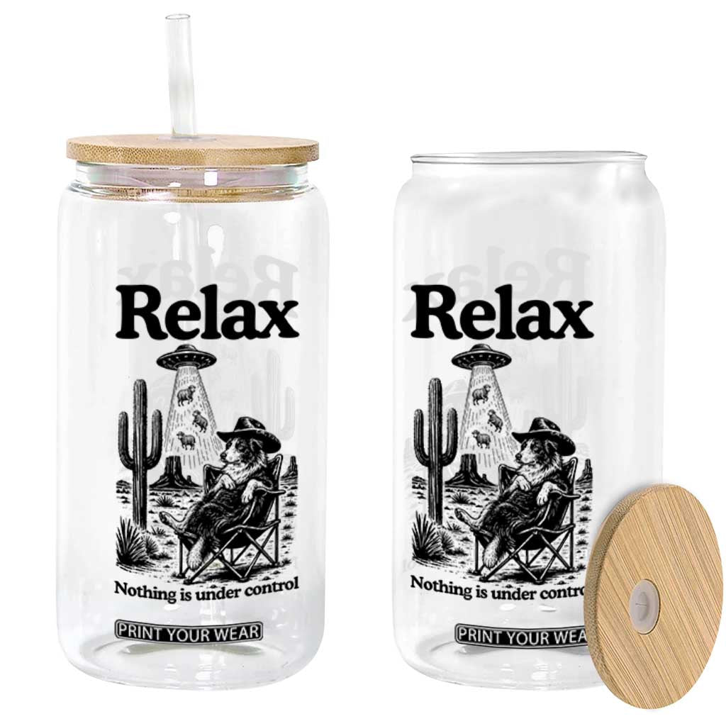 Funny Border Collie UFO Sheep Farmer Glass Can Relax Nothing Is Under Control Alien Dog Lover Gift