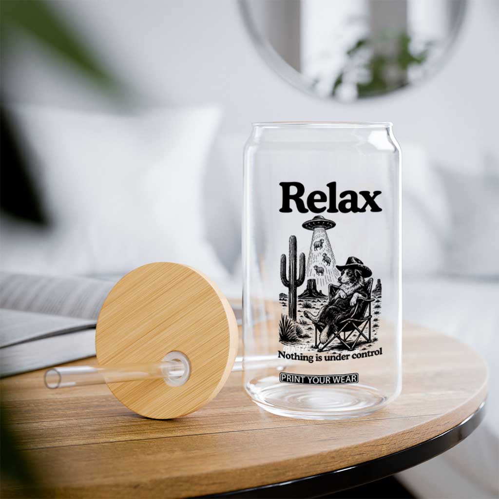 Funny Border Collie UFO Sheep Farmer Glass Can Relax Nothing Is Under Control Alien Dog Lover Gift