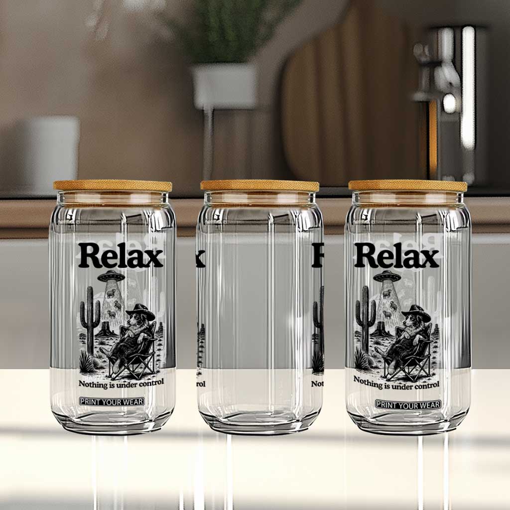 Funny Border Collie UFO Sheep Farmer Glass Can Relax Nothing Is Under Control Alien Dog Lover Gift