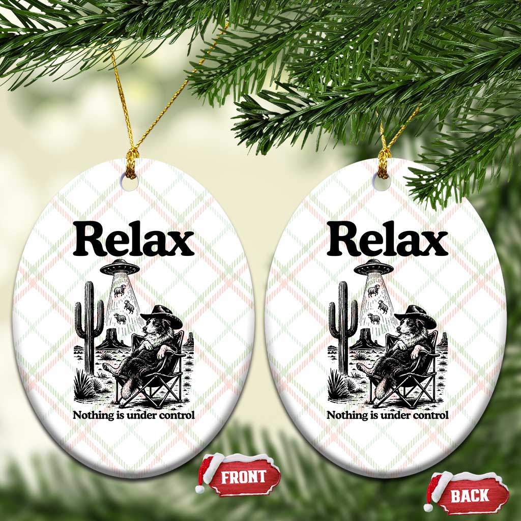 Funny Border Collie UFO Sheep Farmer Ceramic Ornament Relax Nothing Is Under Control Alien Dog Lover Gift TS12 Print Your Wear