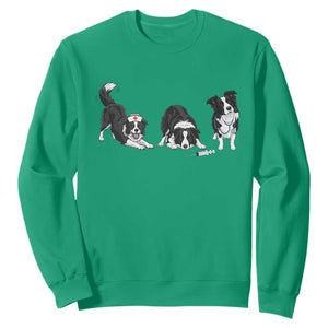 Funny Border Collie Nurse Vet Tech Sweatshirt Dog Lover Medical Worker Gift TS12 Irish Green Print Your Wear