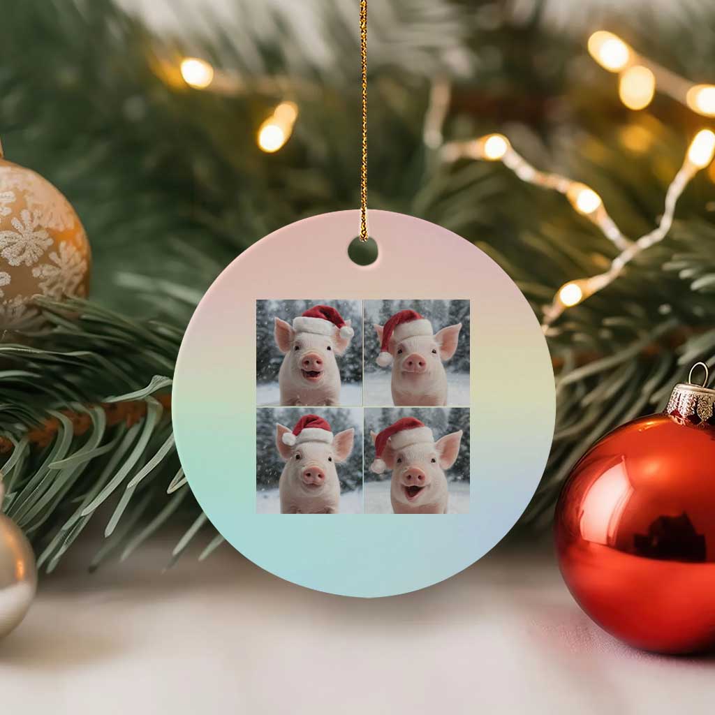 Funny Pig With Santa Hat Photobooth Ceramic Ornament Christmas Gift TS12 1pc Pastel Print Your Wear