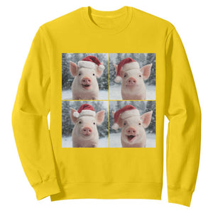 Funny Pig With Santa Hat Photobooth Sweatshirt Christmas Gift TS12 Daisy Print Your Wear
