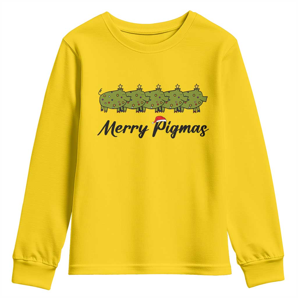 Merry Pigmas Youth Sweatshirt Holiday Gift For Pig Lovers TS12 Daisy Print Your Wear