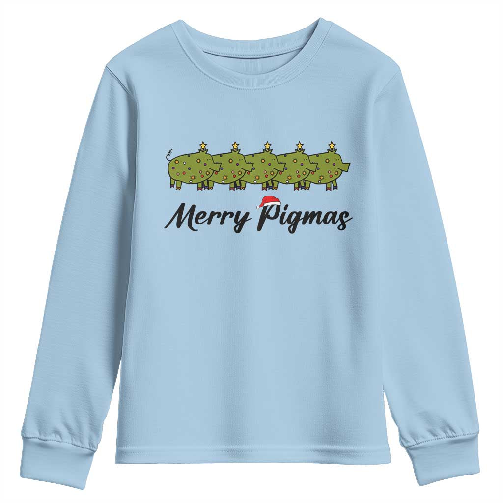 Merry Pigmas Youth Sweatshirt Holiday Gift For Pig Lovers TS12 Light Blue Print Your Wear