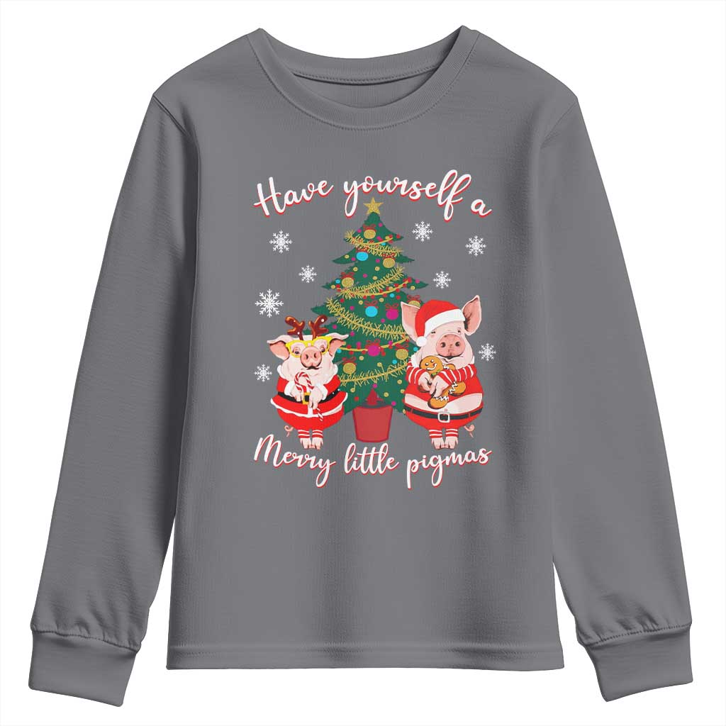 Have Yourself A Merry Little Pigmas Youth Sweatshirt Christmas Pig Lover Farm Life TS12 Charcoal Print Your Wear