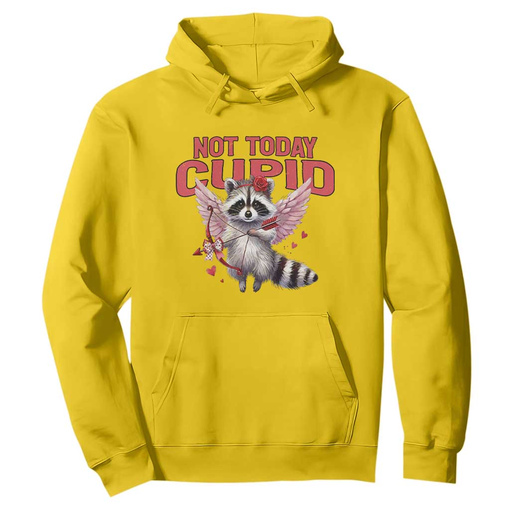 Funny Raccoon Cupid Anti Valentine Hoodie Not Today Cupid TS12 Daisy Print Your Wear