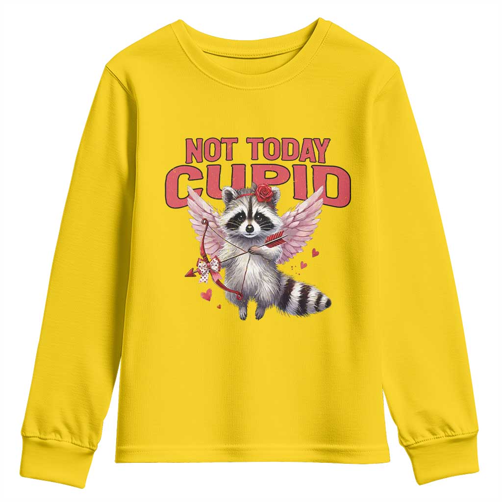 Funny Raccoon Cupid Anti Valentine Youth Sweatshirt Not Today Cupid TS12 Daisy Print Your Wear