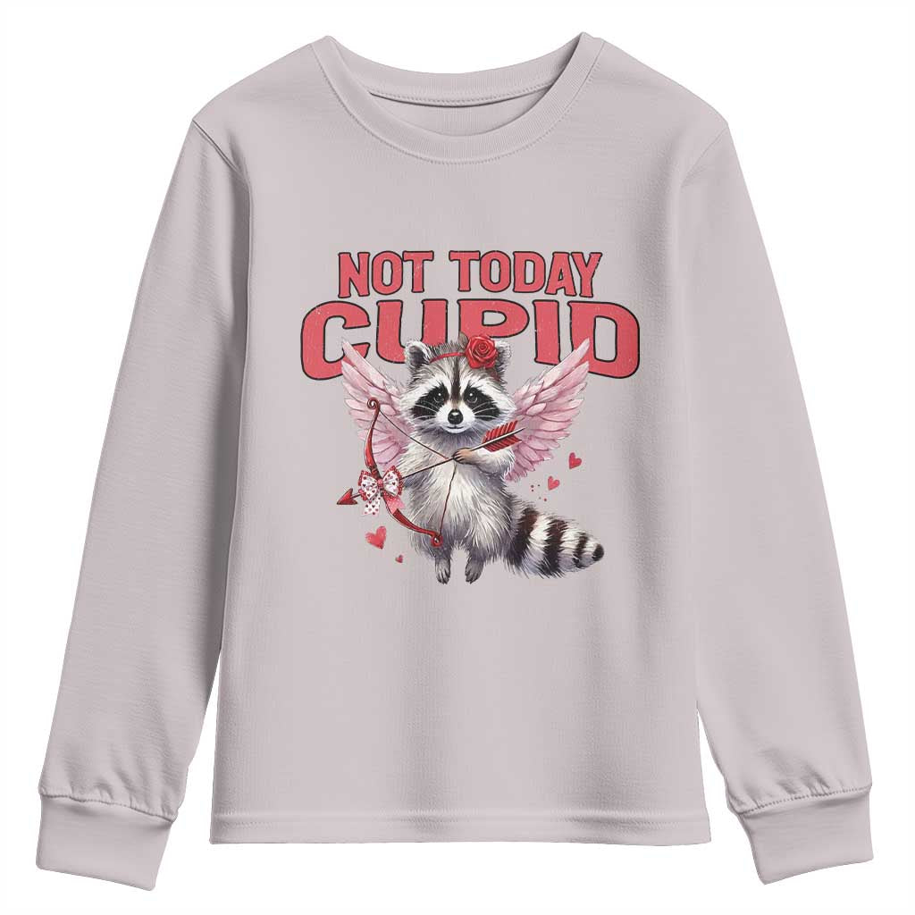 Funny Raccoon Cupid Anti Valentine Youth Sweatshirt Not Today Cupid TS12 Ice Gray Print Your Wear