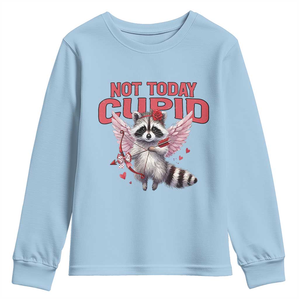 Funny Raccoon Cupid Anti Valentine Youth Sweatshirt Not Today Cupid TS12 Light Blue Print Your Wear